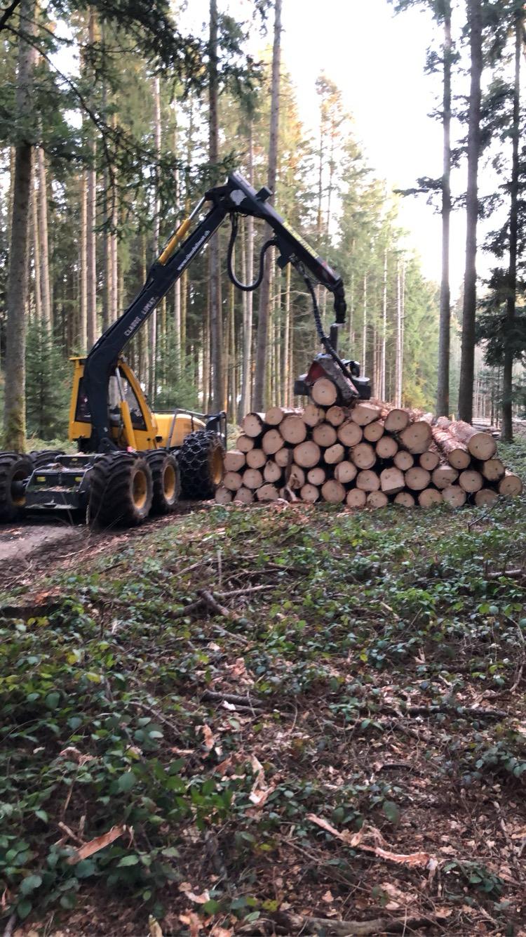 Abattage mécanisé d'arbres dans le Jura — SAS POLYVIER